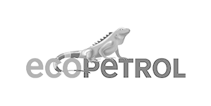 Portfolio - PettCapellato - Clientes de Sucesso - eco petrol