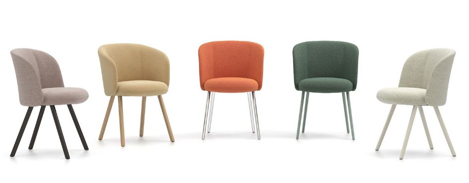 Five Mikado chairs on a white background, each in a different color.