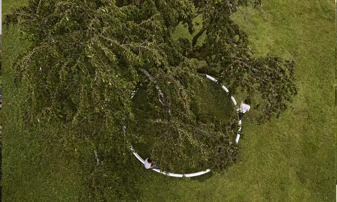 Ring work by Ronan and Erwan Bouroullec at Vitra Campus